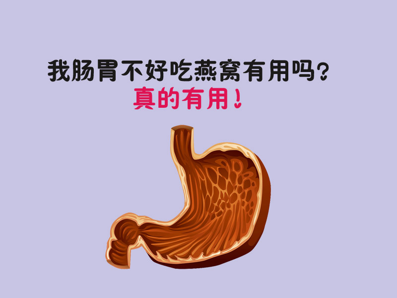 【燕窝养生】肠胃不好吃燕窝会不会有效果？！