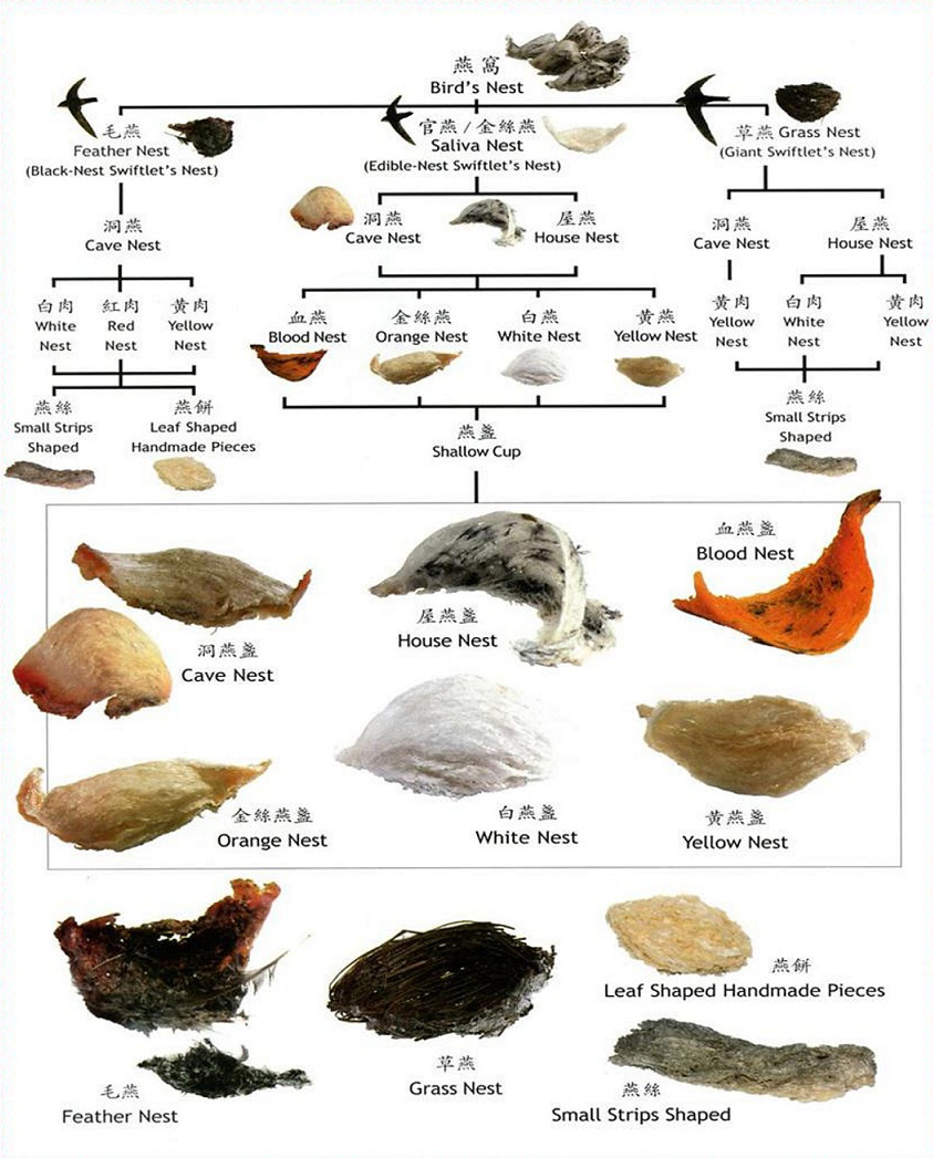 【燕窝分级】给大家以图片的形式全面展示各种款式的燕窝