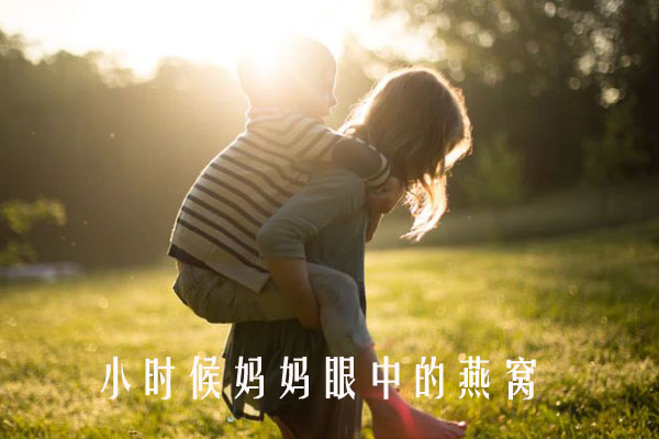 【燕窝润肺】小时候，燕窝是妈妈舍不得吃的付出。（上）